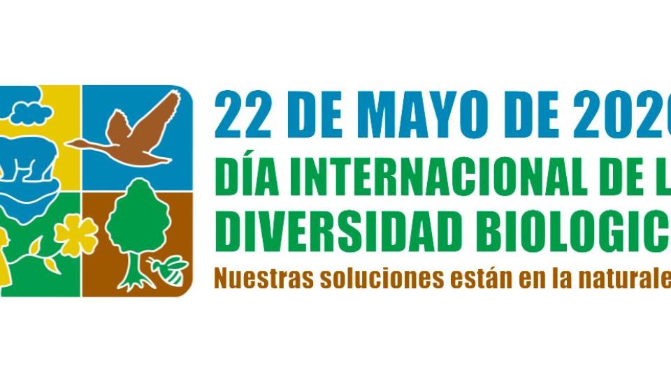 Día Diversidad Biológica