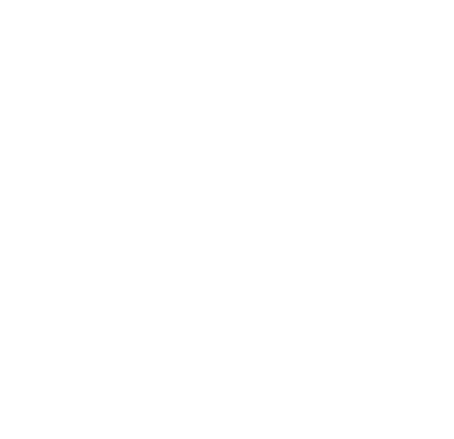 Strategic partner logo