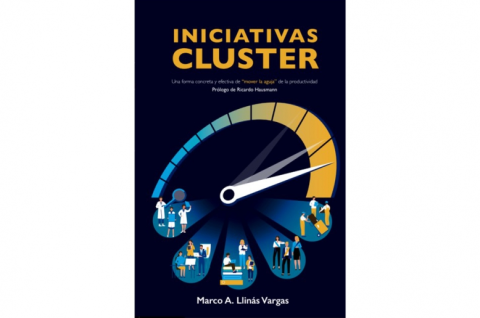 Iniciativas clúster