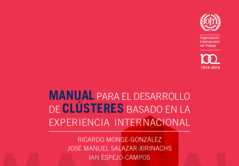 Manual para el desarrollo de clústeres basado en la experiencia internacional