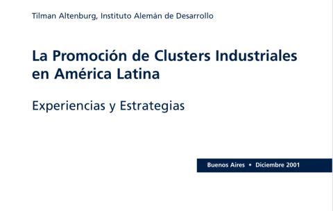La promoción de los clusters industriales en América Latina
