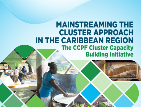 Mainstreaming the cluster