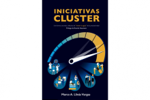 Iniciativas clúster