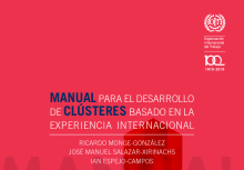Manual para el desarrollo de clústeres basado en la experiencia internacional
