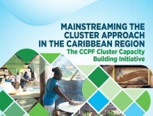 Mainstreaming the cluster