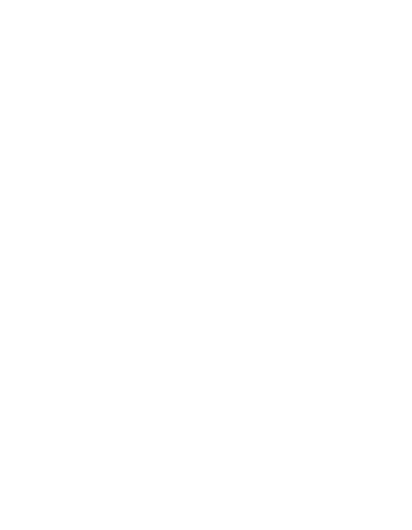 Strategic partner logo