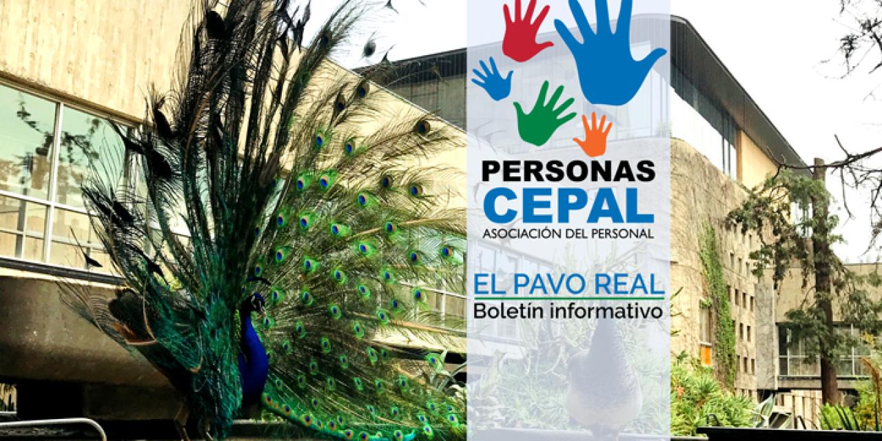 Revista Pavo Real
