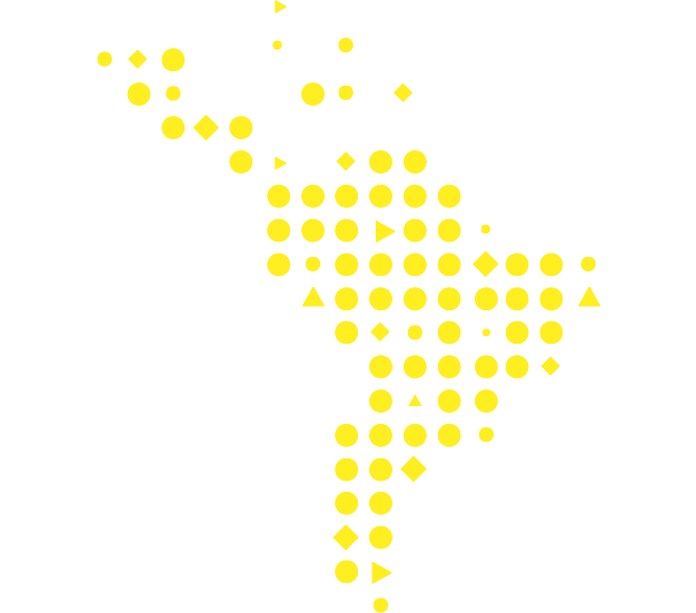Strategic partner logo